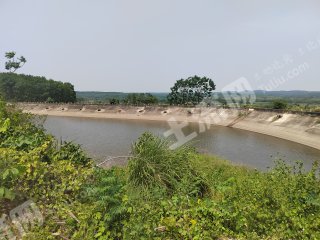 儋州雅星镇25亩其它林地经营权出租