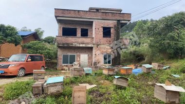 廣州從化區(qū)龍?zhí)缎娓浇?畝魚塘小院整體流轉(zhuǎn)