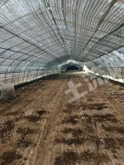 郑州新郑市30亩冷棚园区经营权出租XX1835