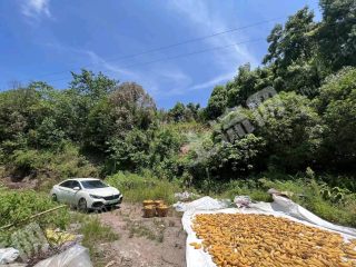 重慶巴南區(qū)75平方米農(nóng)村宅基地使用權(quán)出租