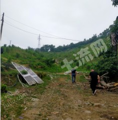 宁波  象山县 80亩 其它林地 经营权出租