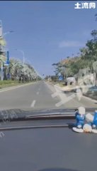 海南陵水黎族自治縣800平方米農(nóng)村宅基地使用權(quán)合作