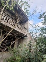 重慶巴南區(qū)200平方米農(nóng)村宅基地使用權出租