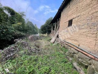 重慶銅梁區(qū)150平方米農(nóng)村宅基地使用權(quán)出租