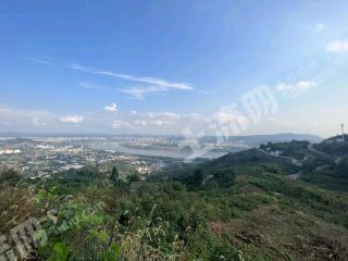 重慶大渡口區(qū)75平方米農(nóng)村宅基地使用權(quán)轉(zhuǎn)讓