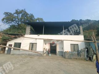 重慶北碚區(qū)105平方米農(nóng)村宅基地使用權(quán)轉(zhuǎn)讓