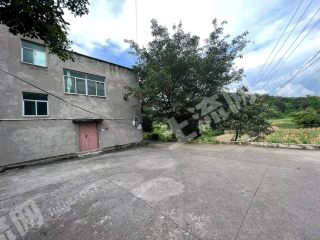 重慶大渡口區(qū)200平方米農(nóng)村宅基地使用權(quán)出租