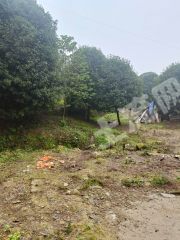 重慶江北區(qū)150平方米農(nóng)村宅基地使用權(quán)出租