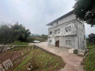 重庆九龙坡区300平方米农村宅基地使用权出租