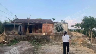 佛山南海区80亩其它林地经营权出租