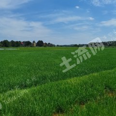 衡阳衡东县2000亩水田经营权出租
