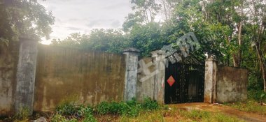 海南琼海市52亩其它林地经营权转让