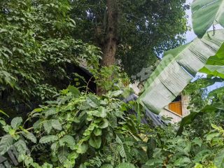 重慶巴南區(qū)100平方米農(nóng)村宅基地使用權(quán)合作