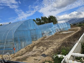 惠东县白盆珠20亩新建大棚经营权出租