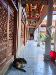 惠城区马安3300平四合院有国有土地使用证转让