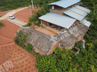 简阳贾家镇24亩集体果园整体对外转让