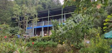 重慶沙坪壩區(qū)大學(xué)城50畝林地加240平房屋