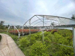 重慶璧山區(qū)100畝農(nóng)村宅基地使用權(quán)出租