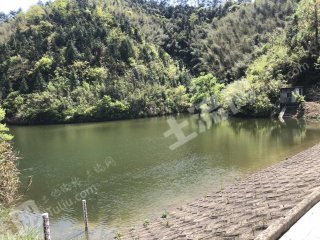 杭州临平区3.7亩坑塘水面经营权转让