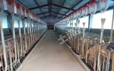 杭州桐庐县200亩设施农用地经营权转让