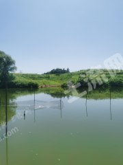 湖州长兴县380亩旱地出租，梯田，适合种植玉米，小麦，有菜，大豆，高粱，蔬菜等粮食油料作物。有种植补贴和地租差不多抵消。