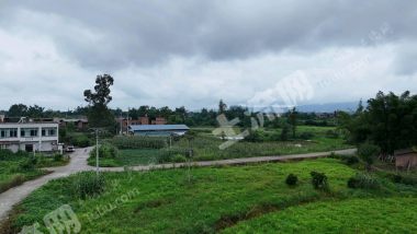 重庆荣昌区350亩水浇地经营权出租