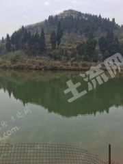 重慶合川區(qū)284畝田園綜合體使用權(quán)出租