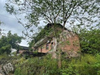 重慶璧山區(qū)200平方米農(nóng)村宅基地使用權(quán)出租