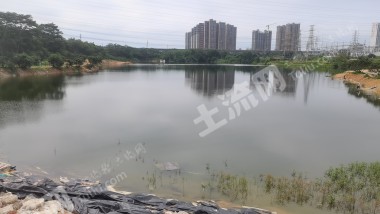 深圳坪山887亩农场使用权转让