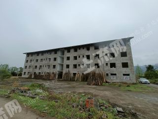 重庆长寿区3000平方米农村宅基地使用权合作