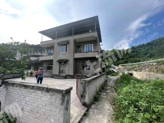 重庆大渡口300平方米农村宅基地使用权出租