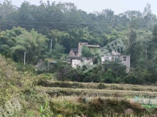 重慶長壽區(qū)700平方米5戶農(nóng)村宅基地使用權(quán)合作