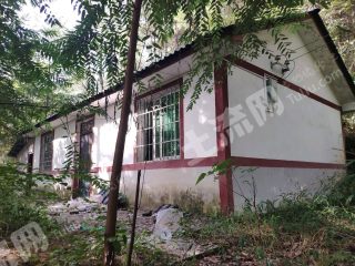 重慶南山森林里的單層獨(dú)棟民房出租6000元/年