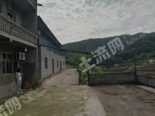 重慶巴南區(qū)8畝魚塘加兩套民房