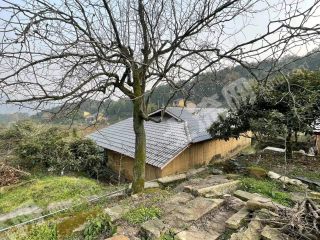 重慶北碚區(qū)90平方米農(nóng)村宅基地使用權(quán)出租