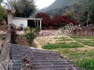 惠州周边发电站转让