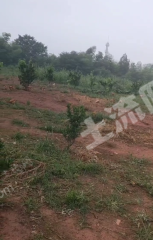 金华  武义县 40亩 其它林地 经营权出租