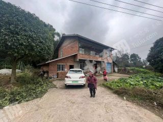 重慶巴南區(qū)260平海拔600以上民房出租