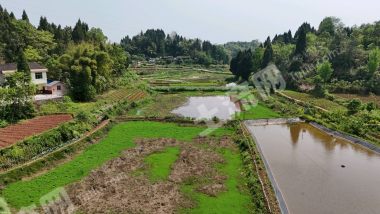 重庆潼南区50亩虾塘出租600一亩