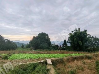 重慶巴南南泉街道樵平山200平單家獨(dú)院出租