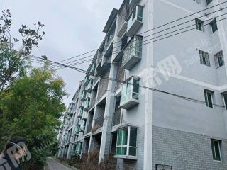 重慶璧山區(qū)125平方米農村宅基地使用權出租