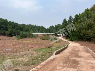 简阳市 30余亩养猪场 经营权转让