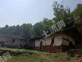 重慶璧山區(qū)300平方米農(nóng)村宅基地使用權(quán)合作