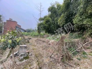 重慶璧山區(qū)180平方米農村宅基地使用權出租