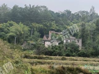 重慶長壽區(qū)700平方米農(nóng)村宅基地使用權(quán)合作