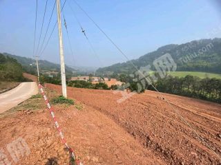 重庆涪陵区水浇地经营权出租