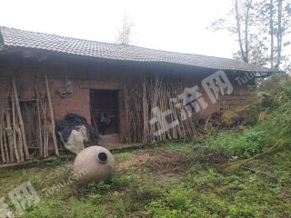 重慶北碚區(qū)80平方米農(nóng)村宅基地使用權(quán)出租