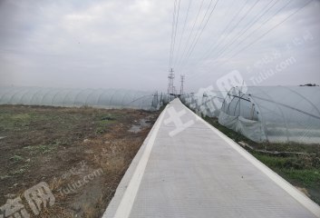 宁波慈溪市50亩水浇地经营权出租