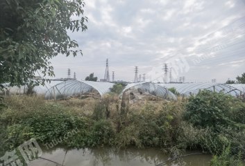 宁波慈溪市30亩水浇地经营权出租