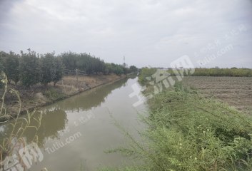 宁波慈溪市20亩水浇地经营权出租